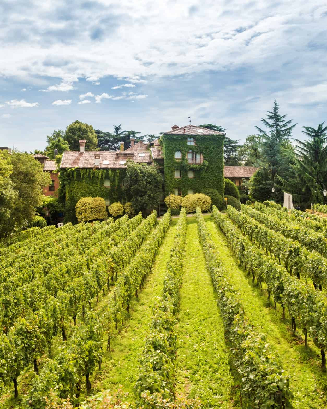 L'Albereta Boutique Hotel between vineyards in Franciacorta. 